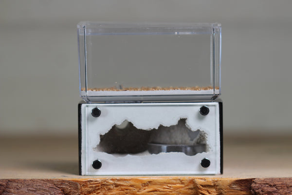 Mini Hearth (Black 9257)