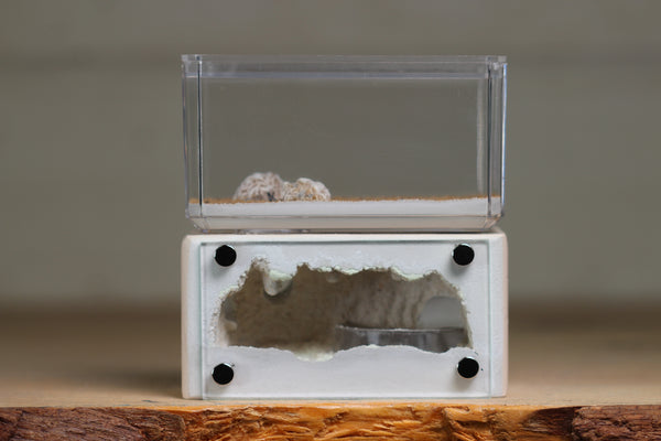 Mini Hearth (Bone 9258)(GLOW)