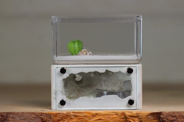 Mini Hearth (Bone 9259)(GLOW)