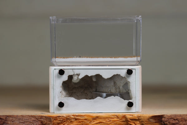 Mini Hearth (Bone 9261)