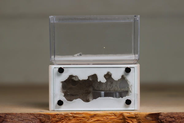 Mini Hearth (Bone 9263)