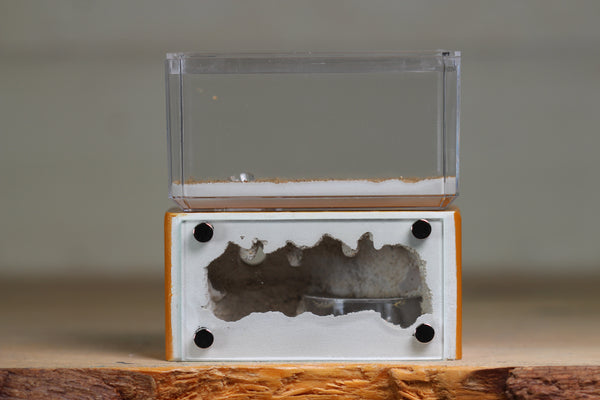 Mini Hearth (Terra 9265)