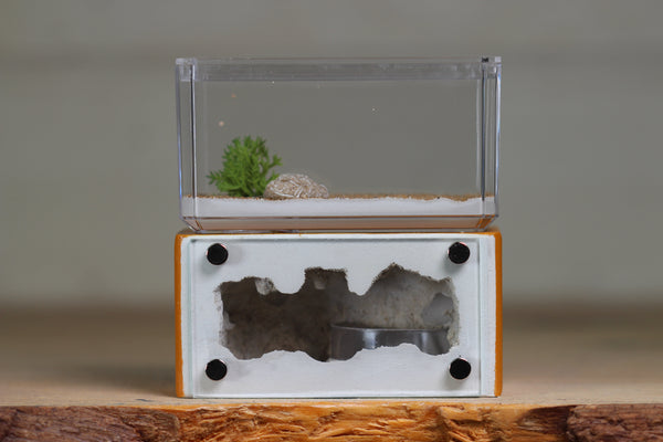 Mini Hearth (Terra 9266)