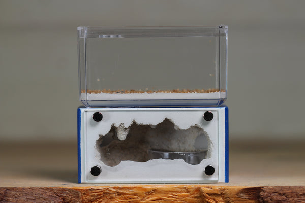 Mini Hearth (Dark Blue 9268)