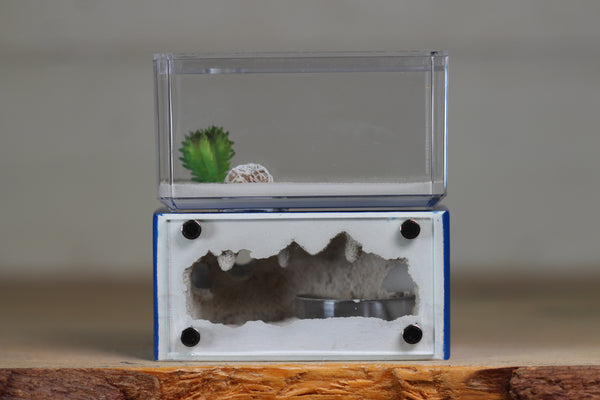 Mini Hearth (Dark Blue 9269)