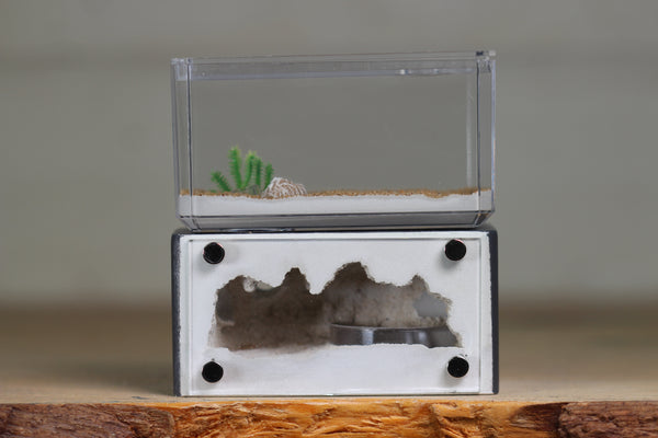 Mini Hearth (Grey 9274)