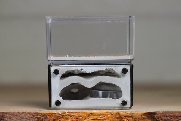 Mini Hearth, Bifurcated (Black 677)