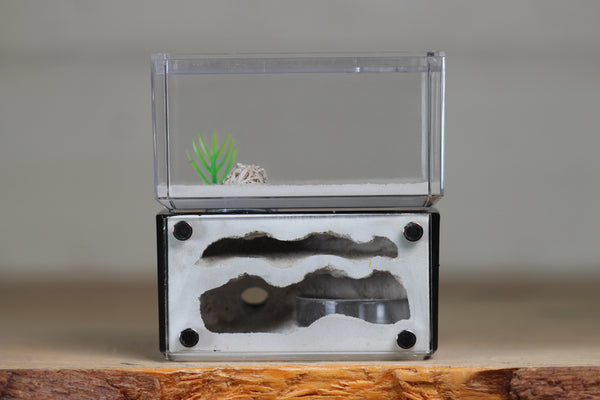 Mini Hearth, Bifurcated (Black 679)