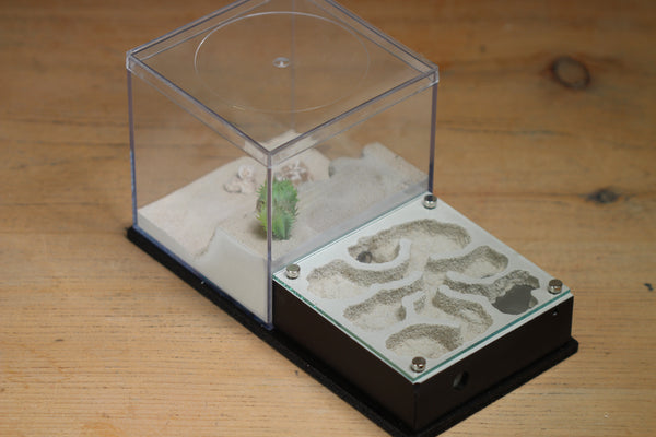 Fallen Fortress Formicarium (Black 3402)(Canyon)