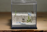 Fallen Fortress Formicarium (Grey 3406)(Canyon)