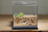 Fallen Fortress Formicarium (Grey 3407)(Canyon)