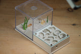 Fallen Fortress Formicarium (Bone 3408)(Canyon)