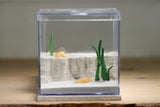 Fallen Fortress Formicarium (Bone 3408)(Canyon)