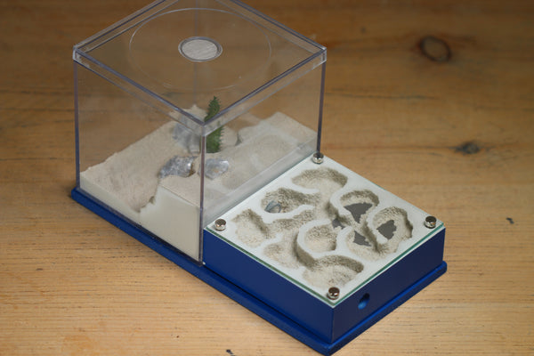 Fallen Fortress Formicarium (Dark Blue 3410)(Canyon)