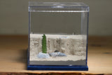 Fallen Fortress Formicarium (Dark Blue 3410)(Canyon)