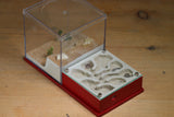 Fallen Fortress Formicarium (Red 3411)(Canyon)