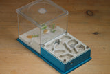 Fallen Fortress Formicarium (Aqua Blue 3412)(Canyon)