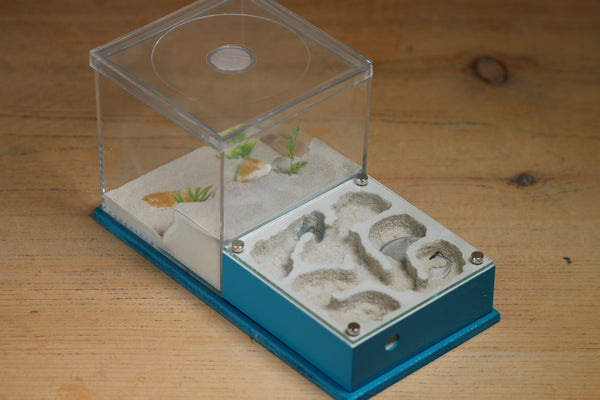 Fallen Fortress Formicarium (Aqua Blue 3412)(Canyon)
