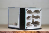 Fortress Formicarium (3075 Black)