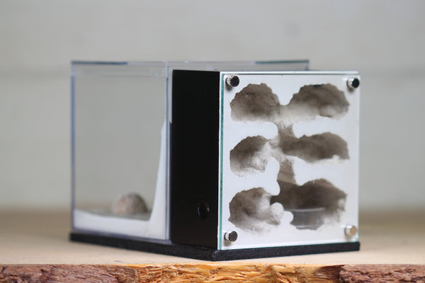 Fortress Formicarium (3075 Black)