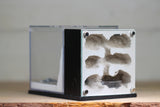 Fortress Formicarium (3076 Black)