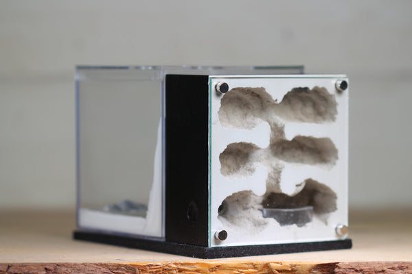Fortress Formicarium (3076 Black)