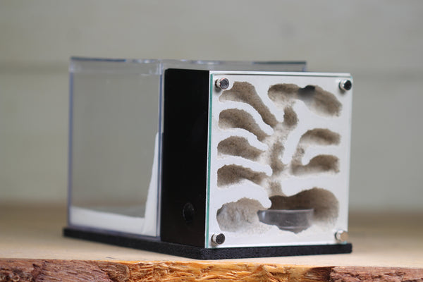 Fortress Formicarium (3077 Black)