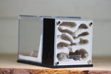Fortress Formicarium (3079 Black)