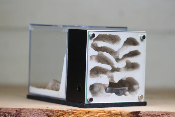 Fortress Formicarium (3079 Black)