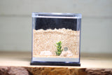Fortress Formicarium (3079 Black)
