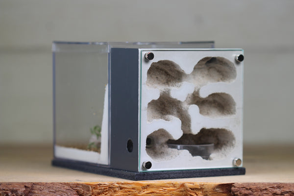 Fortress Formicarium (3081 Grey)