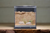 Fortress Formicarium (3081 Grey)