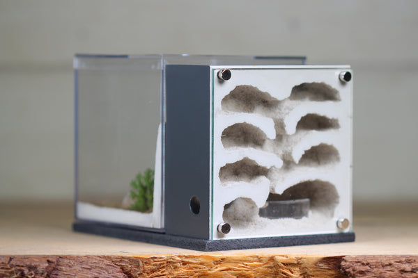 Fortress Formicarium (3083 Grey)