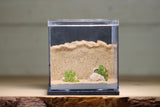 Fortress Formicarium (3083 Grey)