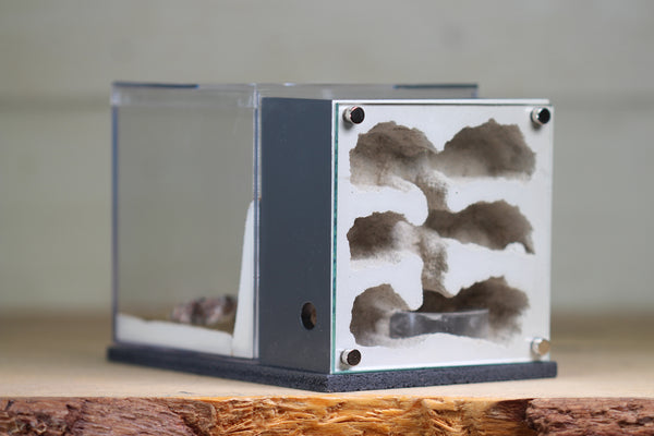 Fortress Formicarium (3082 Grey)
