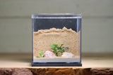 Fortress Formicarium (3082 Grey)