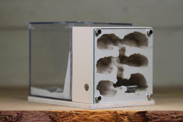 Fortress Formicarium (3085 Bone)