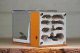 Fortress Formicarium (3086 Terra)