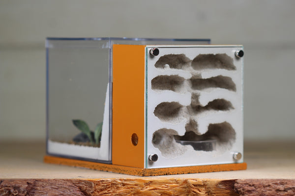 Fortress Formicarium (3086 Terra)