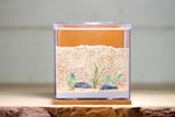 Fortress Formicarium (3086 Terra)