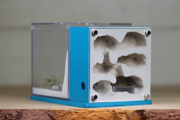 Fortress Formicarium (3087 Aqua Blue)