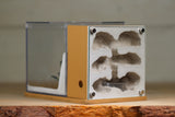 Fortress Formicarium (3088 Brown)