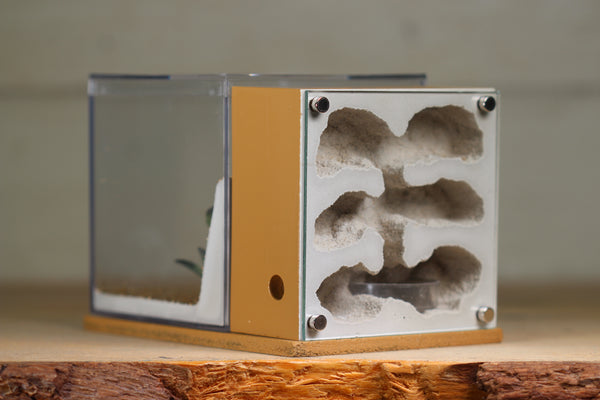 Fortress Formicarium (3088 Brown)