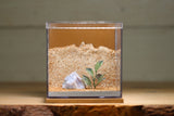 Fortress Formicarium (3088 Brown)