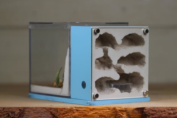 Fortress Formicarium (3089 Light Blue)