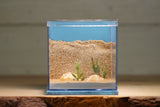 Fortress Formicarium (3089 Light Blue)