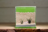 Fortress Formicarium (3090 Lime)