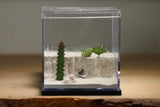 Fallen Fortress Formicarium (Black 3425)(Canyon)