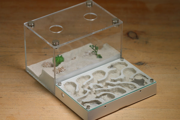 Mini Labyrinth (Bone 3232)(Canyon)(MQ Box)