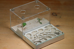 Mini Labyrinth (Bone 3232)(Canyon)(MQ Box)